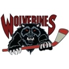 Shenzhen Wolverines